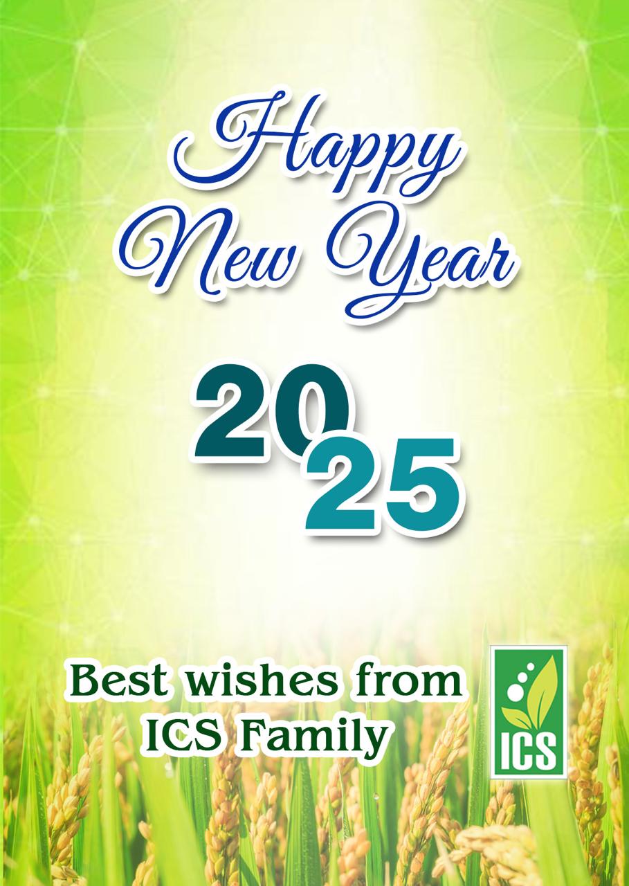 Happy New Year!